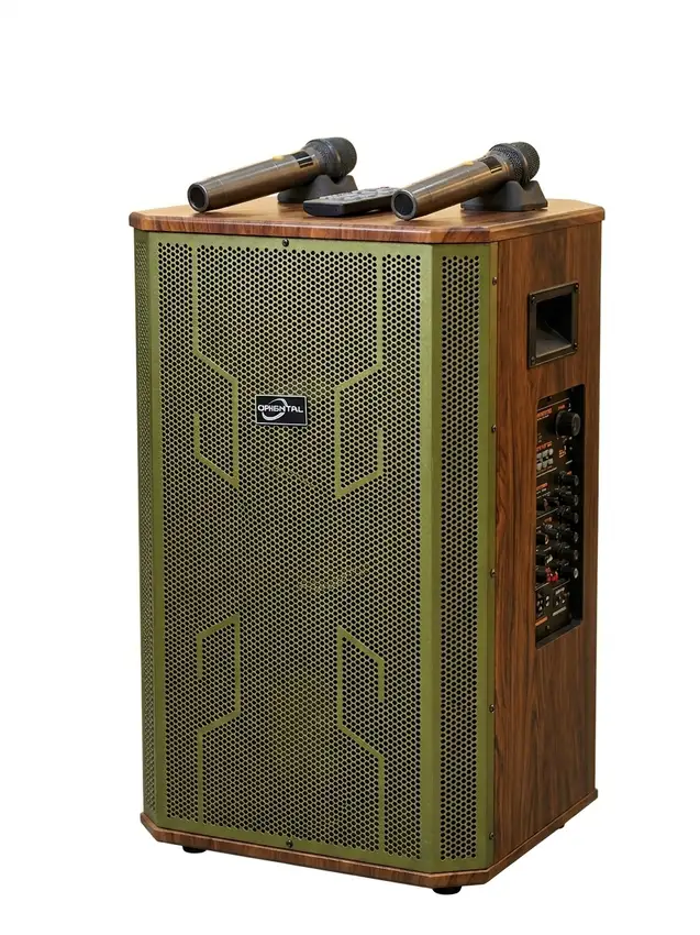 Caixa de Som Portátil Karaoke Premium com Microfones Duplos