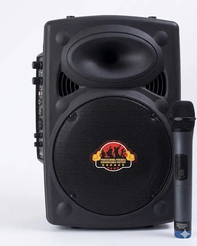 Coluna Amplificada Portátil Thunder Sound com Microfone