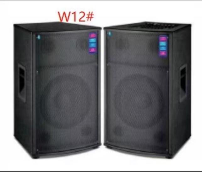 Coluna Profissional 12”