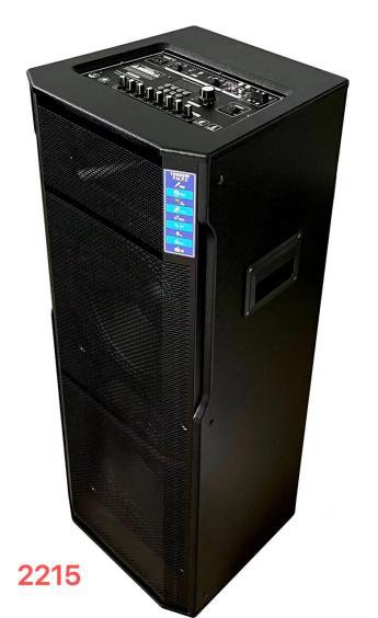 Coluna Amplificada Bluetooth