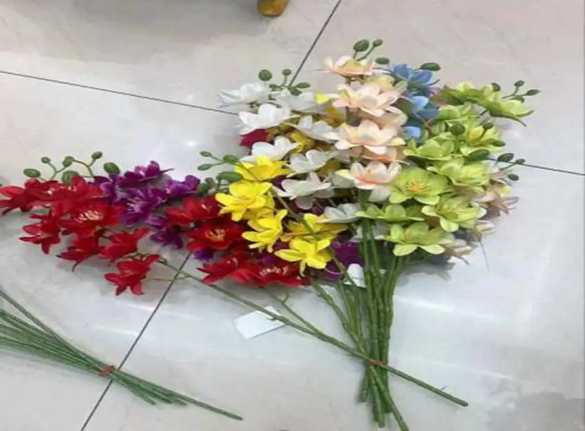 Orquídea bifurcada
